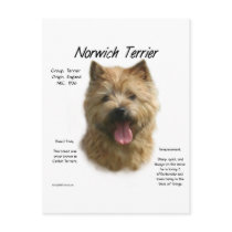 Norwich Terrier History Design Post Cards