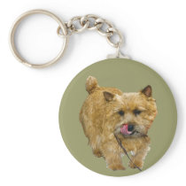 Norwich Terrier keychains