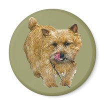 Norwich Terrier magnets