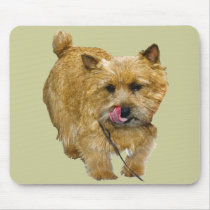 Norwich Terrier mousepads