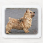 Norwich Terrier Mouse Mat