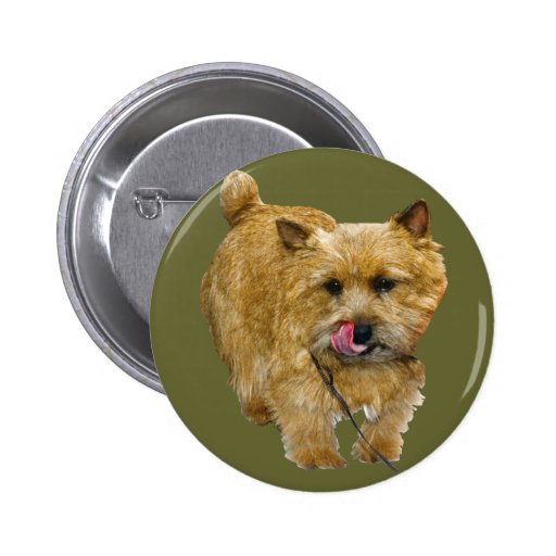 Norwich Terrier Pinback Button