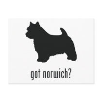 Norwich Terrier Postcard