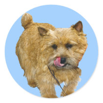 Norwich Terrier stickers