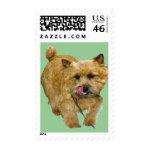 Norwich Terrier US Postage postage