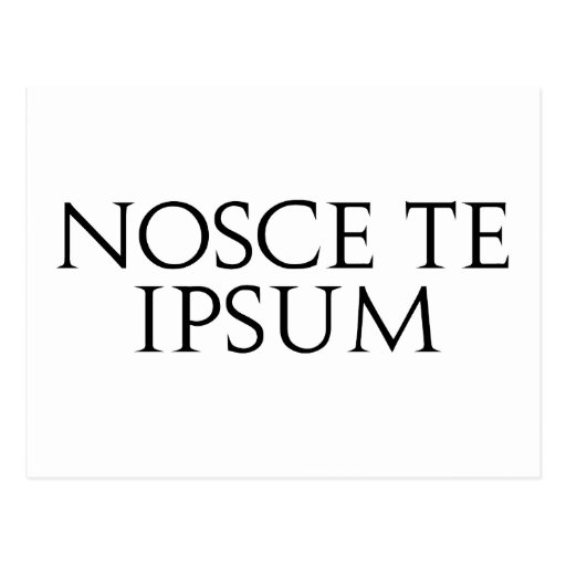 nosce te ipsum postcard zazzle nosce te ipsum postcard zazzle