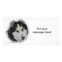 "Nose Decoration" Photocard - White Background by terraphotography "Nose Decoration" Photocard - White Background