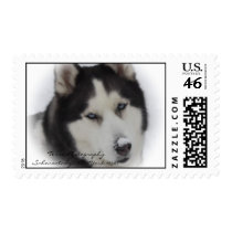 Nose Decoration Postage Stamp