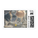 Nose Kisses postage