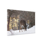 Nose to the Ground Gallery Wrapped Canvas
