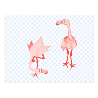 Nosey flamingo post card