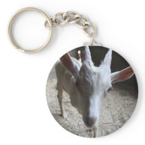 Nosey Goat Keychain keychains