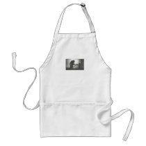 Nosferatu Crawling the Stairs Aprons