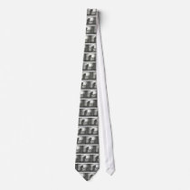 Nosferatu Crawling the Stairs Custom Tie