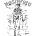 Nosferatu t-shirts