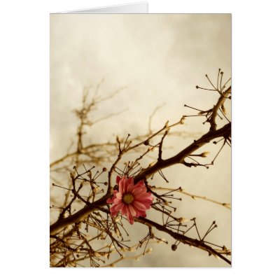Nostalgia Card by nighty