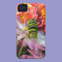 Nosy Caterpilar iPhone 4 case casemate cases
