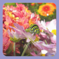 Nosy Caterpillar Stickers stickers