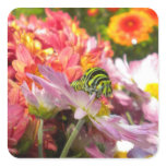 Nosy Caterpillar Stickers Nosy Caterpillar Stickers