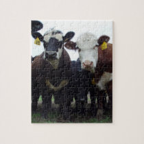 Nosy Cows Puzzle