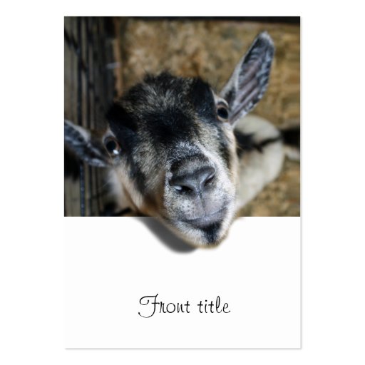 Nosy Goat Looking Out Business Card Templates (front side)