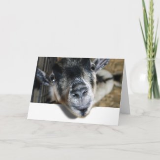 Nosy Goat Looking Out card