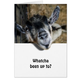 Nosy Goat Looking Up card