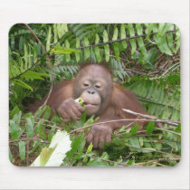 Nosy Neighbors in the Jungle mousepads by Rebecca_Reeder Nosy Neighbors in the Jungle mousepads