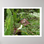 Nosy Neighbors in the Jungle Poster