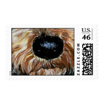 Nosy Postage