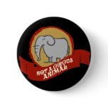 Not a circus animal