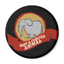 Not a circus animal magnets by smallhandsdesigns Not a circus animal magnets