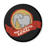 Not a circus animal magnet