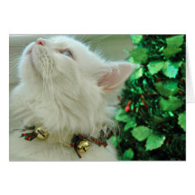 Not a creature was stirring.... greeting cards