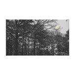 NOT A HARVEST MOON by CR SINCLAIR canvas prints
