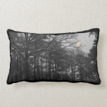 NOT A HARVEST MOON By CR SINCLAIR lumbar pillow pillows
