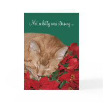 Not a kitty was stirring... cards