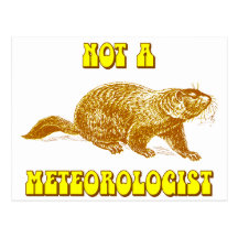 Not a Meteorologist Groundhog Postcards