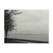 Not a sunshiny day at the lake post card