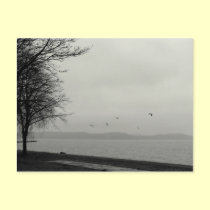 Not a sunshiny day at the lake postcards