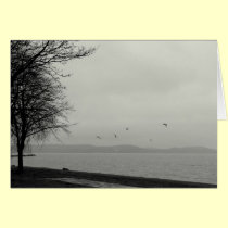 Not a sunshiny day cards