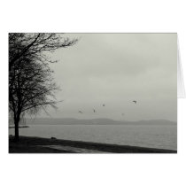Not a sunshiny day cards