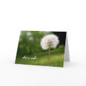 Not a Wish, Birthday card