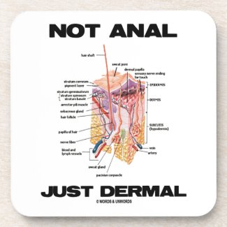 Not Anal Just Dermal (Layers Of Skin Dermatology) Coasters