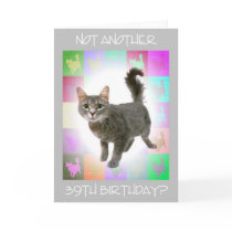 "Not Another 39th Birthday?" cards by GotCats "Not Another 39th Birthday?" cards
