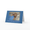 Not Another Picture cards by classymis Not Another Picture cards