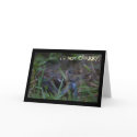 Not Crabby Greeting Card by AldenRogers Not Crabby Greeting Card
