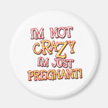 Not Crazy Just Pregnant Fridge Magnet
