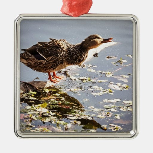 not duck square metal christmas ornament zazzle not duck square metal christmas ornament zazzle