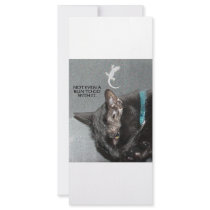 NOT EVEN A BUN TO GO WITH IT CUSTOM RACK CARDS